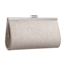 Vanessa champagne glitter handbag