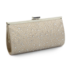 Handbag Valentina Champagne-Zirconia