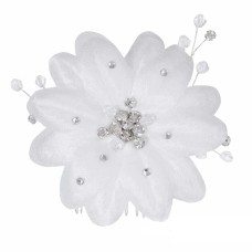 Hair comb G. Westerleigh HS-J1573