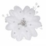 Hair comb G. Westerleigh HS-J1573
