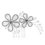 Hair comb G. Westerleigh HC0081