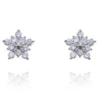 Earrings G. Westerleigh RH1008