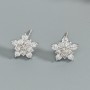 Earrings G. Westerleigh RH1008