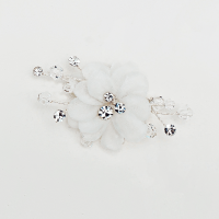 Drag needle Avalia Y079