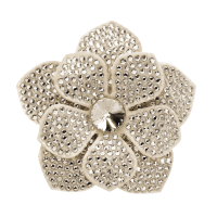 Shoe clip Rainbow Club Vela