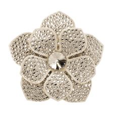 Shoe clip Rainbow Club Vela